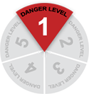 Level 1