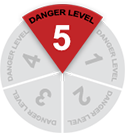 Level 5